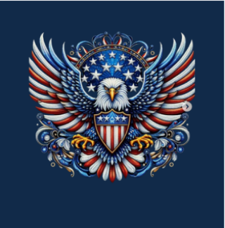 American Eagle Hoodie