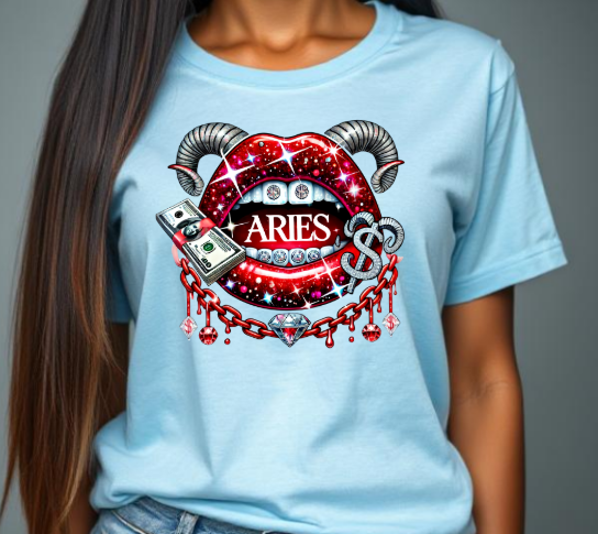 Aries T-Shirt