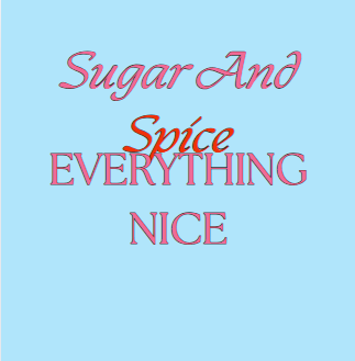 Sugar and spice Everything Nice T-Shirt